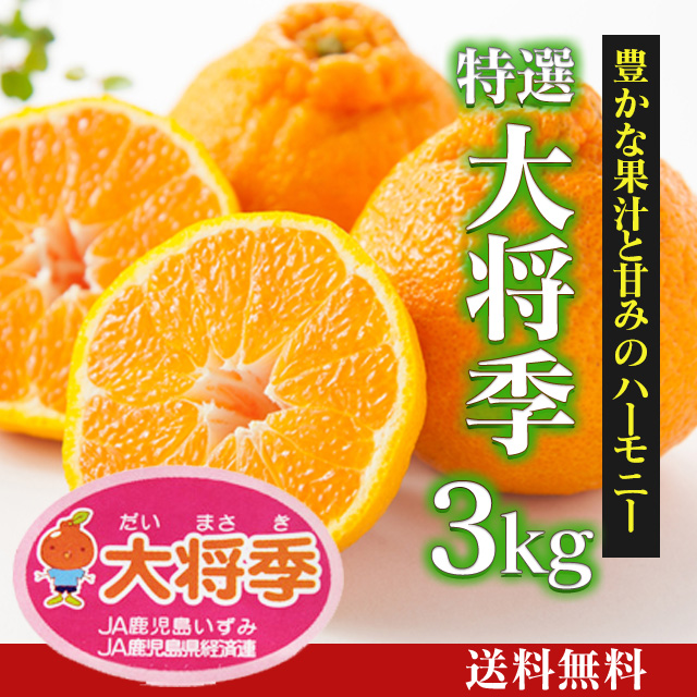 特選大将季（加温）3kg（化粧箱） [F-001] | JA鹿児島いずみショップ